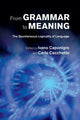 Book cover of: From Grammar to Meaning. By: Ivano Caponigro