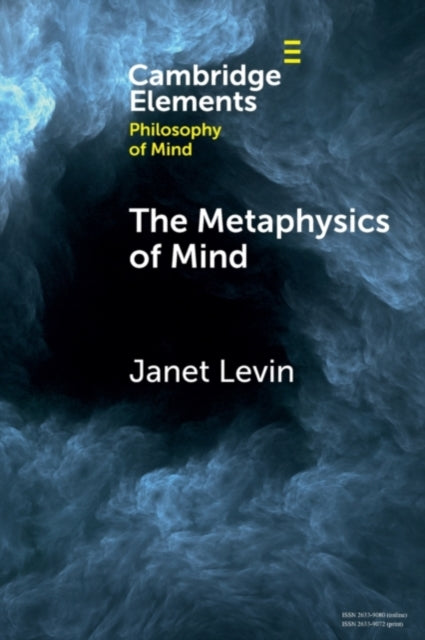 Book cover of: Metaphysics of Mind. By: Janet Levin