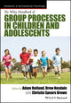 Book cover of: Wiley Handbook of Group Processes in Children and Adolescents