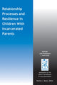 Book cover of: Relationship Processes and Resilience in Children with Incarcerated Parents