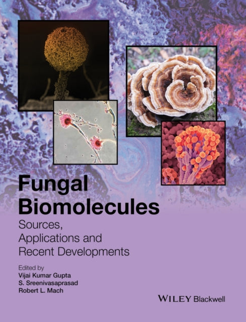 Book cover of: Fungal Biomolecules
