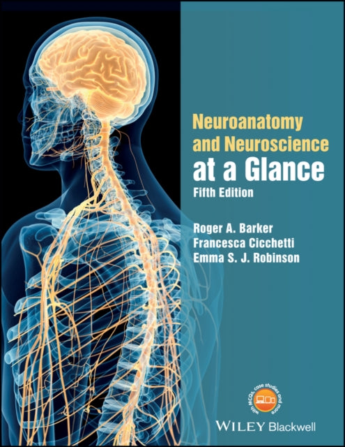 Neuroanatoomia ja neuroteadus lühidalt