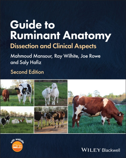 Book cover of: Guide to Ruminant Anatomy. By: Mahmoud Mansour
