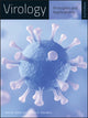 Book cover of: Virology. By: Carter, John