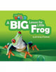 Book cover of: Our World Readers: A Big Lesson for Little Frog. By: Heinle Publishers Inc Staff