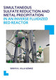 Book cover of: Simultaneous Sulfate Reduction and Metal Precipitation in an Inverse Fluidized Bed Reactor. By: Denys Kristalia Villa Gomez