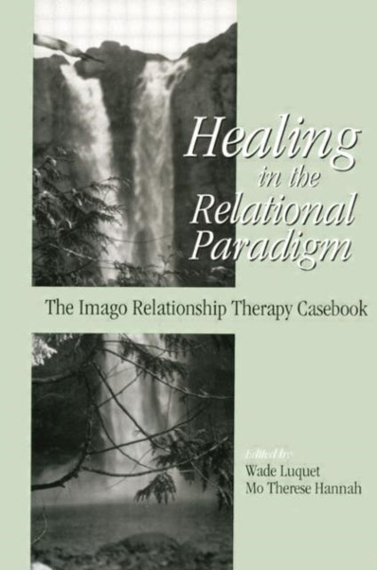 Book cover of: Healing in the Relational Paradigm. By: Wade Luquet