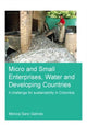 Book cover of: Micro and Small Enterprises, Water and Developing Countries. By: Gloria Ana María Mónica Sanz Galindo