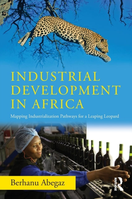Book cover of: Industrial Development in Africa. By: Berhanu Abegaz