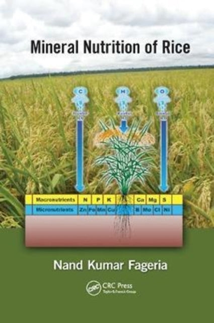 Book cover of: Mineral Nutrition of Rice. By: N. K. Fageria
