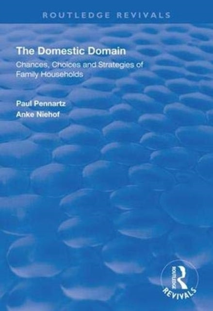 Book cover of: Domestic Domain