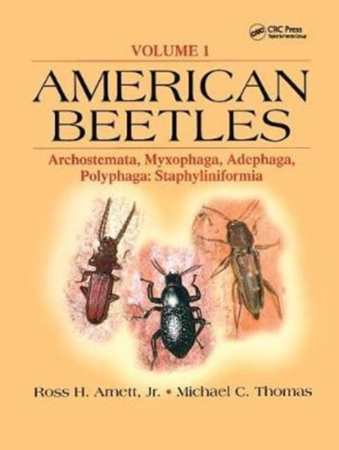 Book cover of: American Beetles, Volume I. By: Jr Arnett