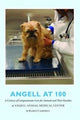 Book cover of: Angell at 100. By: Karen Campbell
