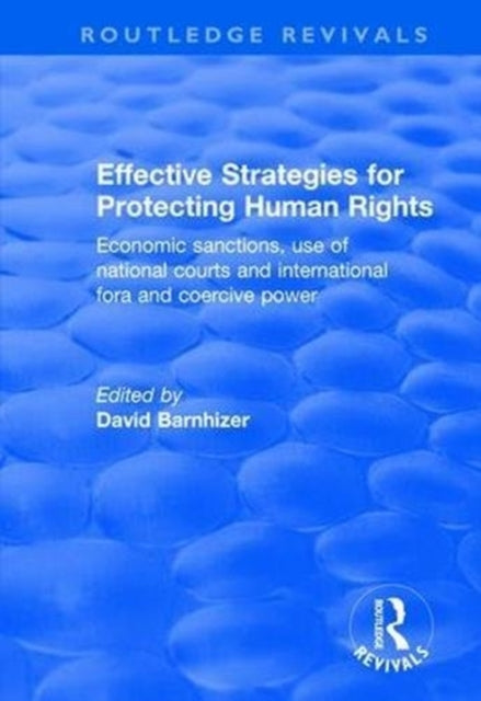 Book cover of: Effective Strategies for Protecting Human Rights. By: David Barnhizer