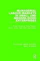Book cover of: Managerial Labour Markets in Small and Medium-Sized Enterprises. By: Pooran Wynarczyk