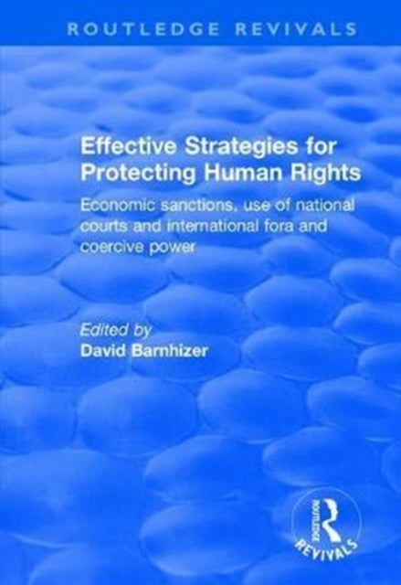 Book cover of: Effective Strategies for Protecting Human Rights. By: David Barnhizer