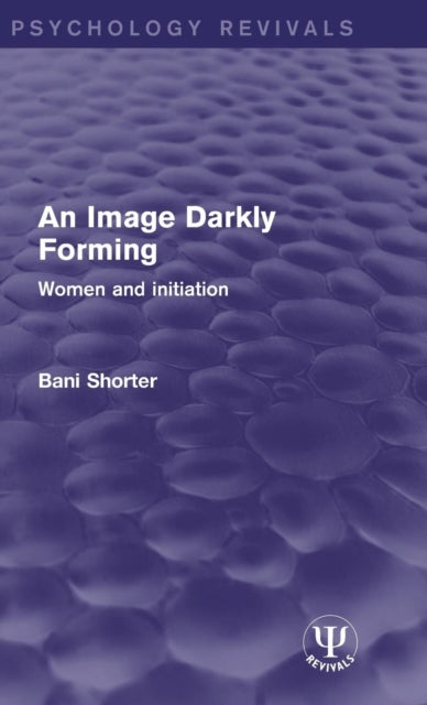 Book cover of: Image Darkly Forming. By: Bani Shorter