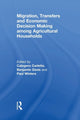 Book cover of: Migration, Transfers and Economic Decision Making among Agricultural Households. By: Calogero Carletto