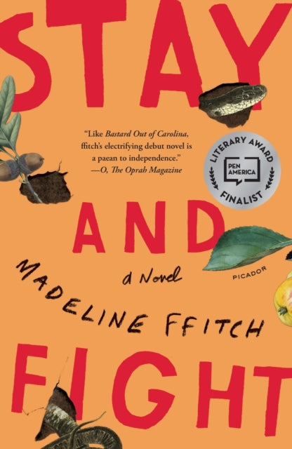 Book cover of: Stay and Fight. By: Madeline ffitch