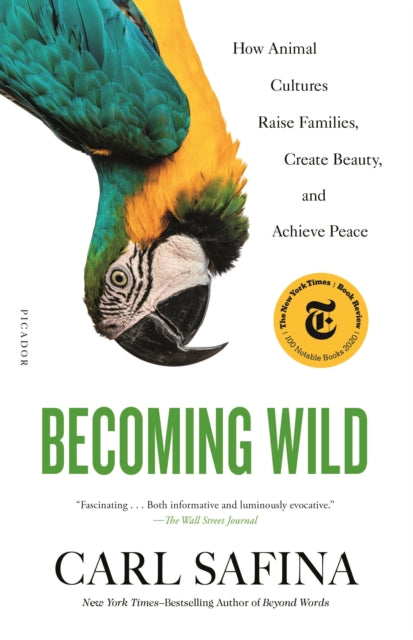 Book cover of: Becoming Wild. By: Carl Safina