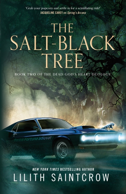 Book cover of: Salt-Black Tree. By: Lilith Saintcrow