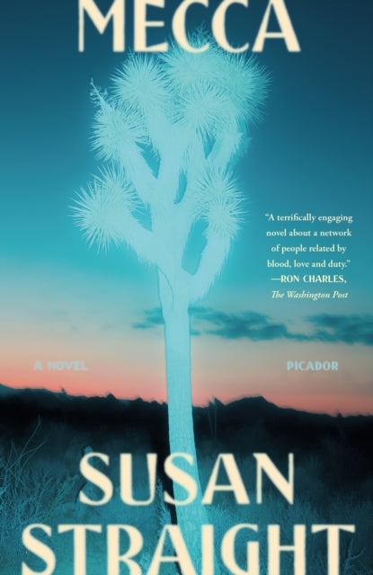 Book cover of: Mecca. By: Susan Straight