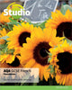 Book cover of: Studio AQA GCSE French Foundation Student Book. By: Clive Bell