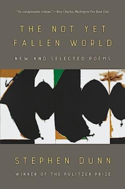 Book cover of: Not Yet Fallen World. By: Stephen Dunn