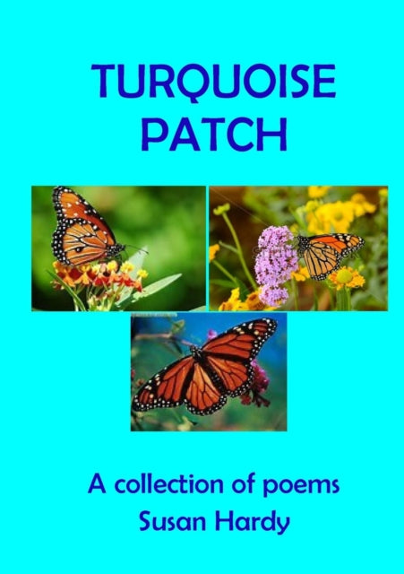 Book cover of: Turquoise Patch. By: Susan Hardy