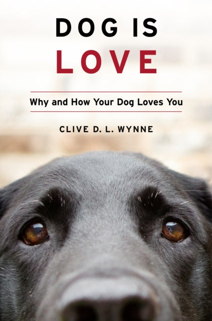 Dog Is Love