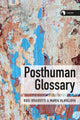 Book cover of: Posthuman Glossary. By: Rosi Braidotti