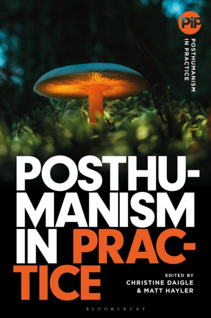 Book cover of: Posthumanism in Practice. By: Christine Daigle