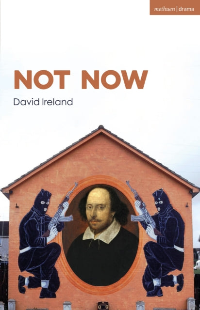 Book cover of: Not Now. By: David Ireland