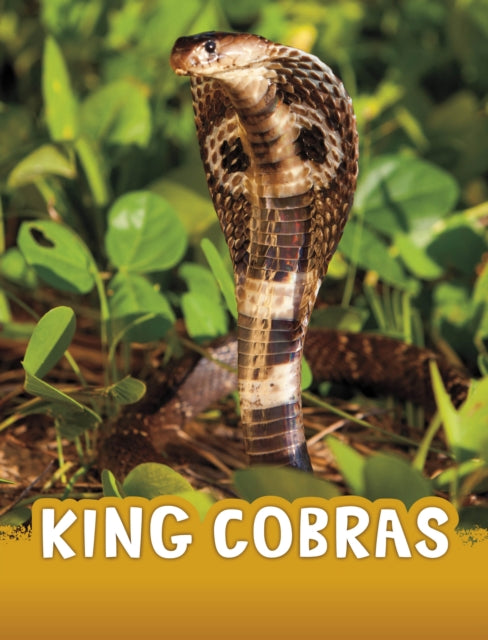 Book cover of: King Cobras