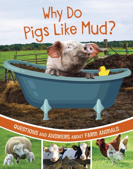 Book cover of: Why Do Pigs Like Mud?. By: Katherine Rawson