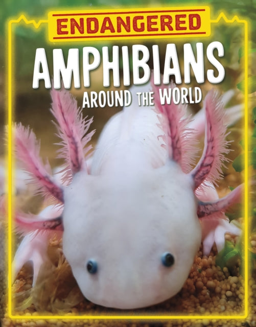 Book cover of: Endangered Amphibians Around the World