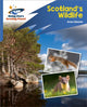 Book cover of: Reading Planet: Rocket Phonics – Target Practice – Scotland's Wildlife – Blue. By: Abigail Steel