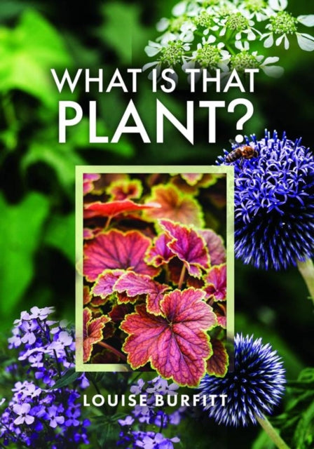 Book cover of: What is that Plant?. By: Louise Burfitt