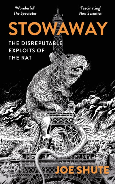 Book cover of: Stowaway