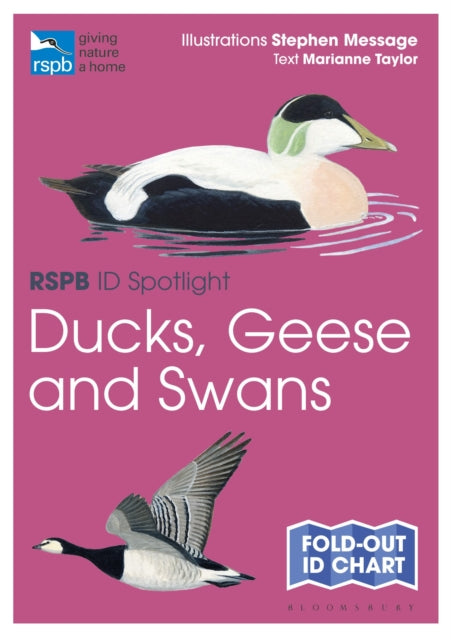 Book cover of: RSPB ID Spotlight - Ducks, Geese and Swans. By: Stephen Message