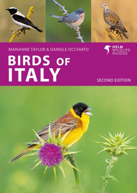 Book cover of: Birds of Italy. By: Daniele Occhiato