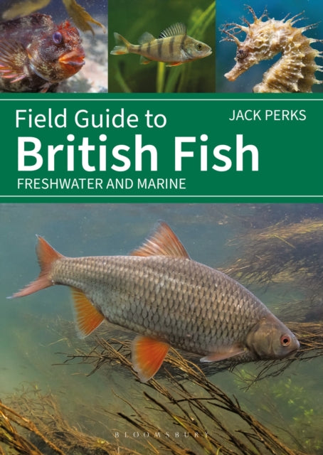 Book cover of: Field Guide to British Fish. By: Jack Perks