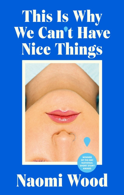 Book cover of: This Is Why We Can't Have Nice Things. By: Naomi Wood