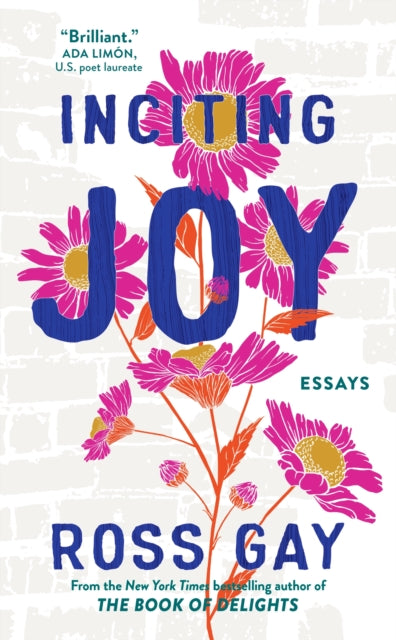 Inciting Joy, Essays