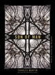 Book cover of: Son of Man. By: Charles Martin