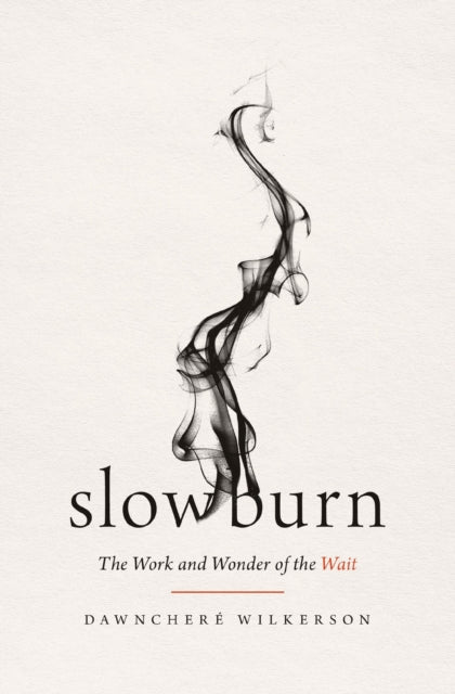 Book cover of: Slow Burn