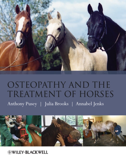 Osteopaatia ja hobuste ravi