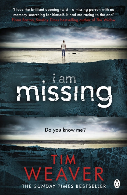 I Am Missing, The heart-stopping thriller from the Sunday Times bestselling author of No One Home 9781405917841 Tim Weaver