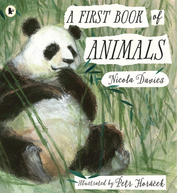 Book cover of: First Book of Animals. By: Nicola Davies