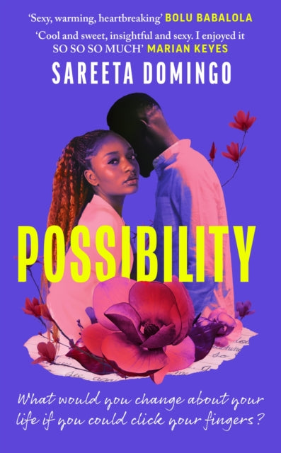 Book cover of: Possibility. By: Sareeta Domingo